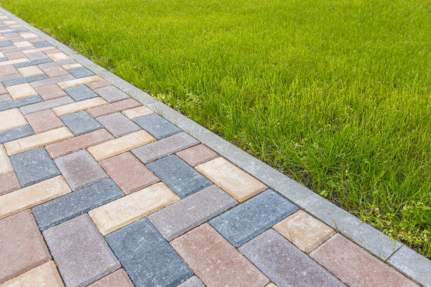 Best Driveway Paver Repair  in Elizabeth City, NC